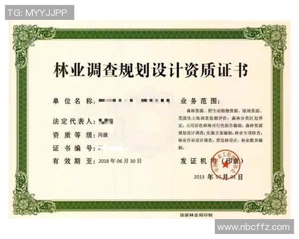 乐动体育培训资质解析与行业标准提升的全面探讨